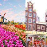 Keukenhof: Menyusuri Lautan Bunga yang Memukau di Eropa!