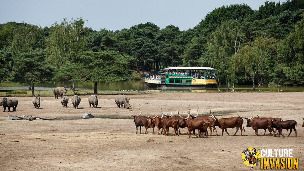 Beekse Bergen Destinasi Wisata Alam yang Bikin Kagum!