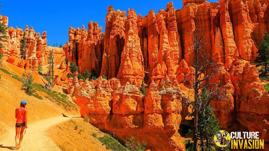 Tebing Merah dan Langit Biru Cerita Unik Bryce Canyon!