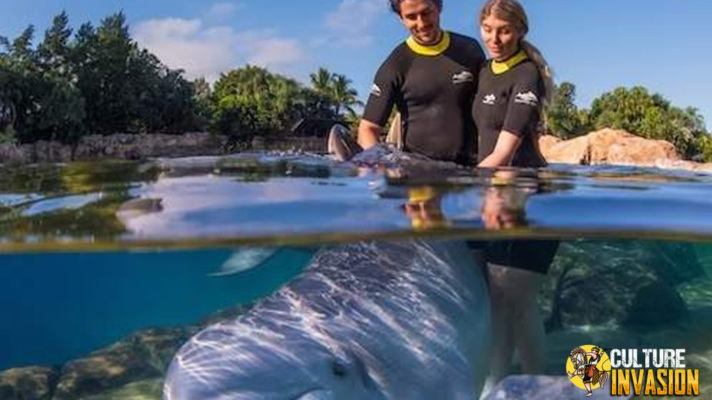 Amerika Punya Rahasia Cantik, Namanya Discovery Cove!