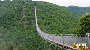 Geierlay Suspension Bridge: Tipis, Tinggi, Tapi Memesona!