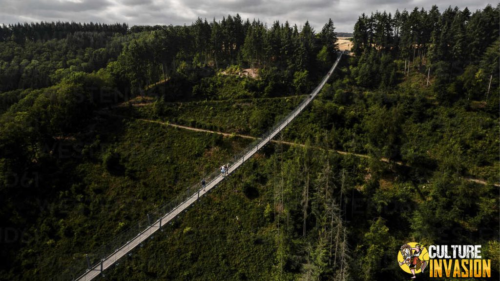 Geierlay Suspension Bridge: Tipis, Tinggi, Tapi Memesona!