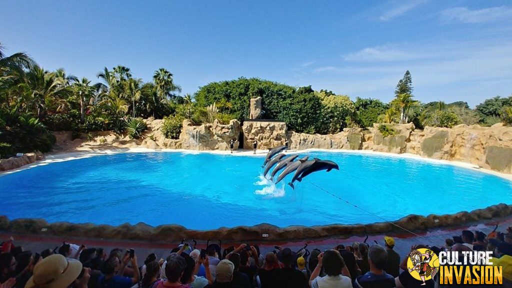 Menyusuri Pesona Loro Parque, Spot Wisata Hits di Spanyol!