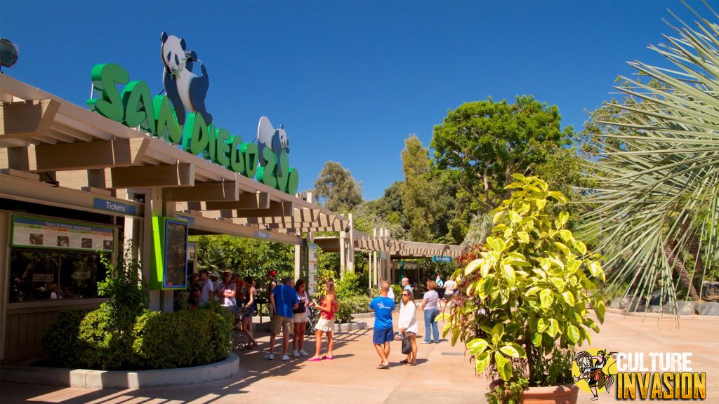 San Diego Zoo Tempat Liburan yang Bikin Lupa Pulang!