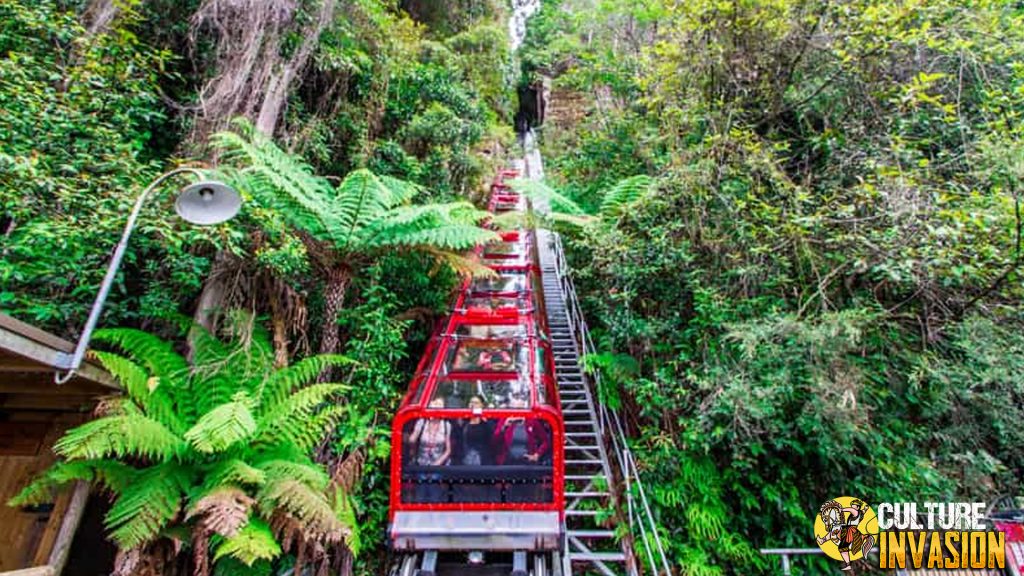 Wisata Alam Paling Gila? Scenic World Jawabannya!