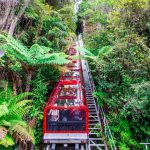 Wisata Alam Paling Gila? Scenic World Jawabannya!
