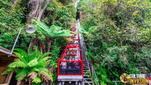 Wisata Alam Paling Gila? Scenic World Jawabannya!
