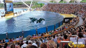 Menyusuri Loro Parque Pesona Alam dan Satwa Bersatu!