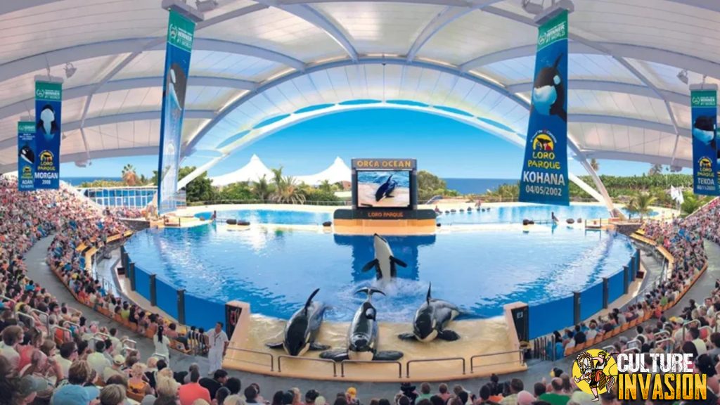 Menyusuri Loro Parque Pesona Alam dan Satwa Bersatu!