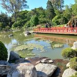 Jardín Japonés 5 Keindahan Tersembunyi di Argentina