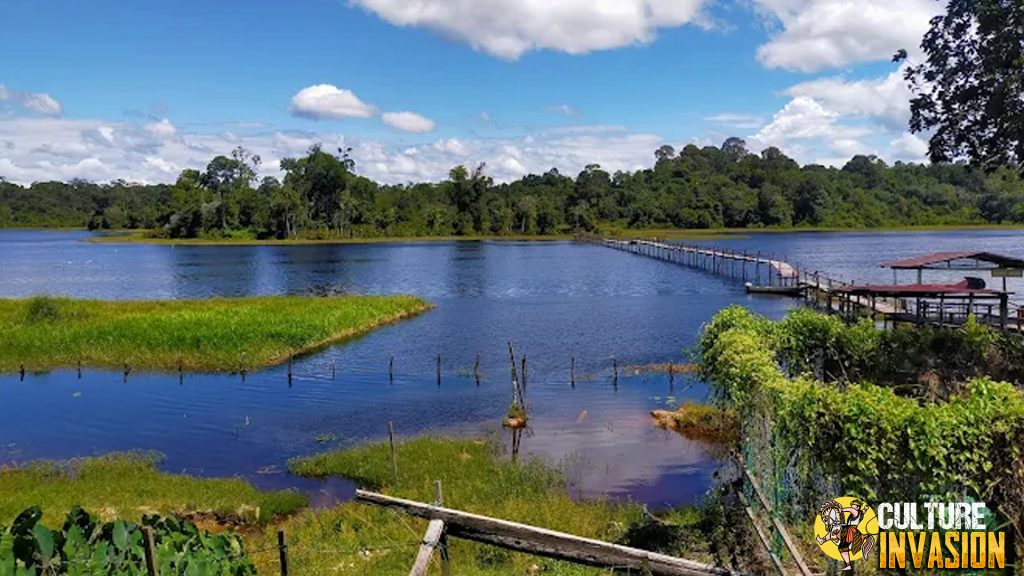 Tasek Merimbun 6 Spot Menakjubkan di Brunei Darussalam