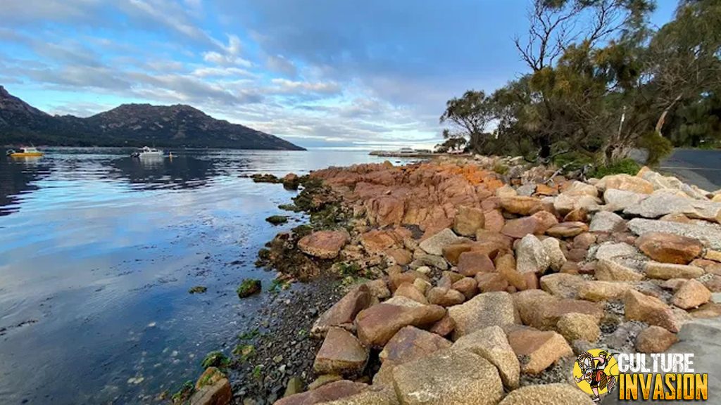 3 Hidden Gem Tasmania yang Jarang Diketahui Turis!