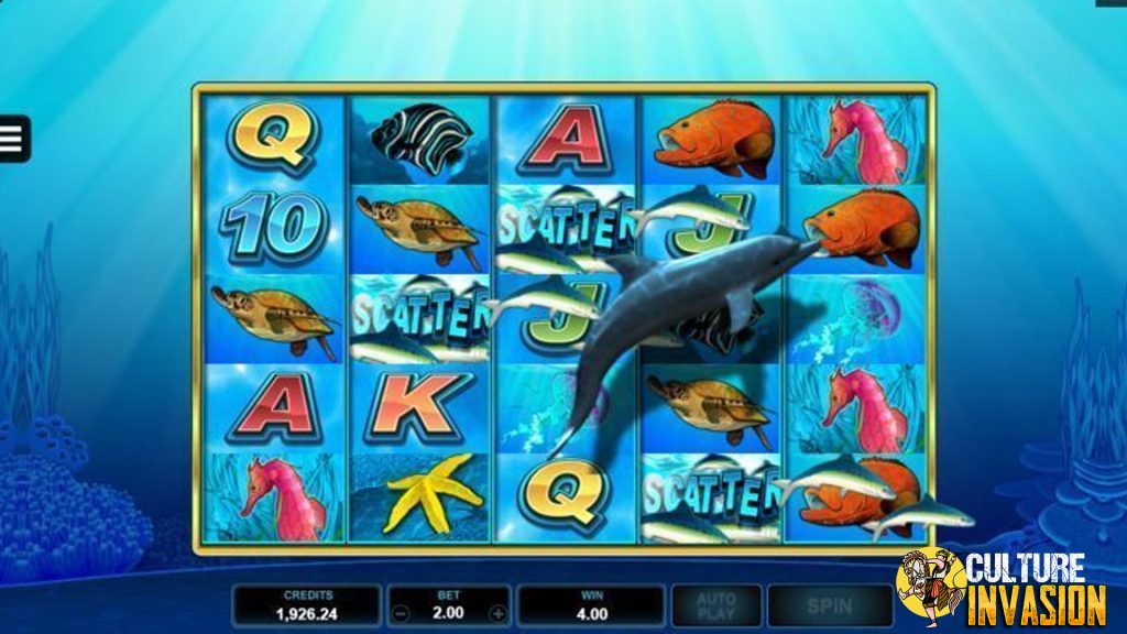 Dolphin Coast Pesona Lumba2 di Dunia Slot Online