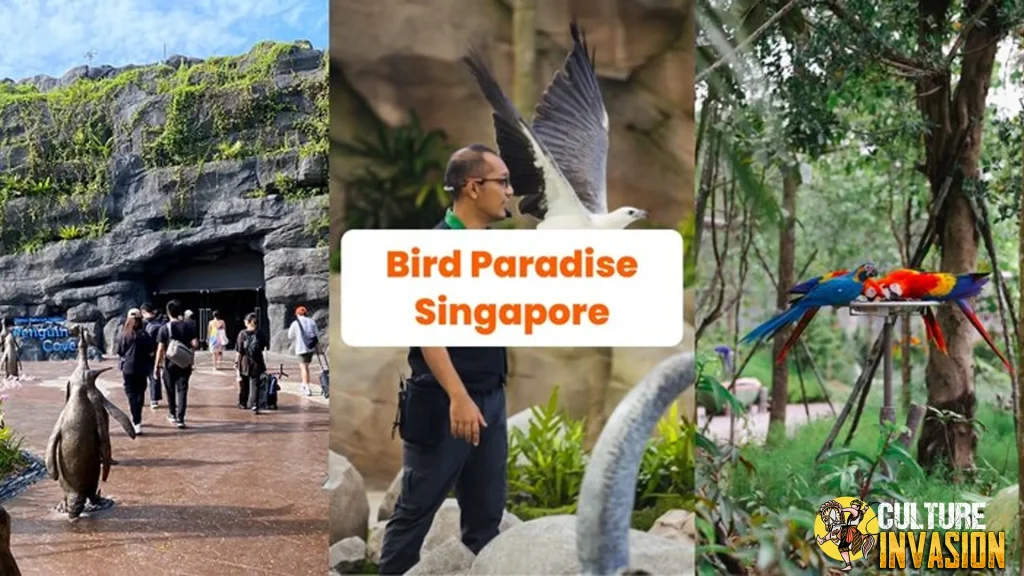 Bird Paradise Singapura 3.500 Burung, 1 Surga