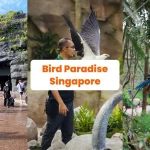 Bird Paradise Singapura 3.500 Burung, 1 Surga