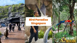 Bird Paradise Singapura 3.500 Burung, 1 Surga