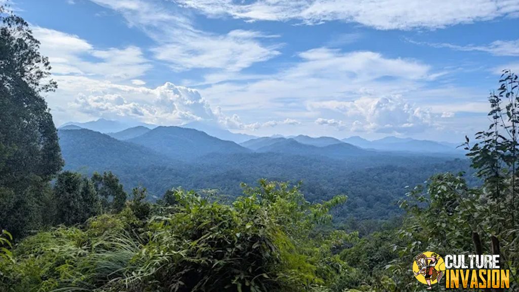 Taman Negara Trekking dan Safari Malam 2025