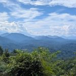 Taman Negara Pendakian dan Safari Malam 2025