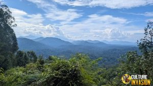 Taman Negara Trekking dan Safari Malam 2025