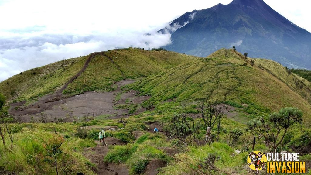 Gunung Merbabu Taklukkan 1 Puncak Kedamaian!