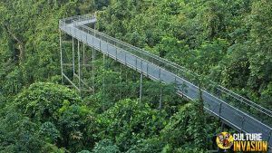 Southern Ridges 2 Jalur Hiking Favorit Singapura