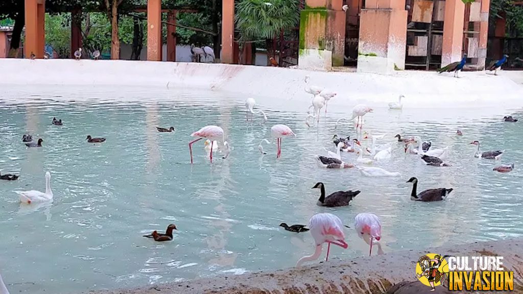 Lake View Park Oase 15 Cantik Jantung Islamabad