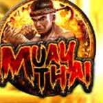 Muay Thai 4 Seni Olahraga Bela Diri di Ring!