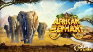 African Elephant Tanpa Batas Nyeleneh Tapi Win!