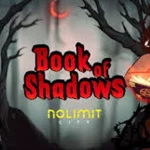 Book of Shadows Ternyata Begini Isinya
