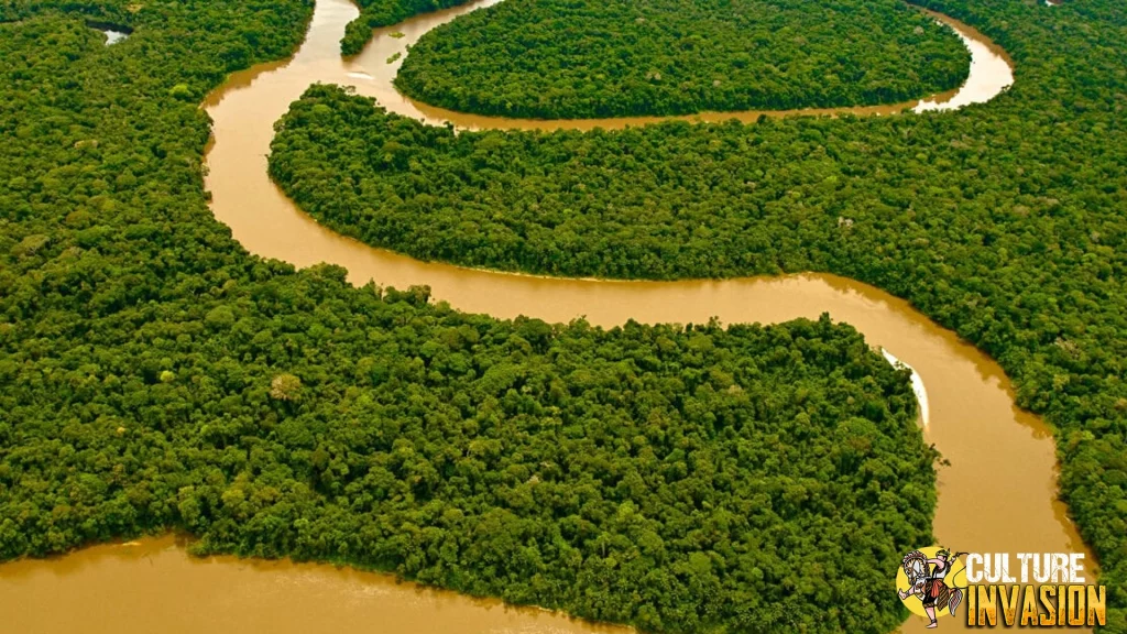 Amazon Rainforest Hidup Tanpa Teknologi