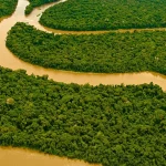 Amazon Rainforest Hidup Tanpa Teknologi