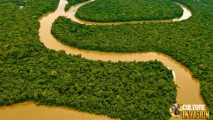 Amazon Rainforest Hidup Tanpa Teknologi