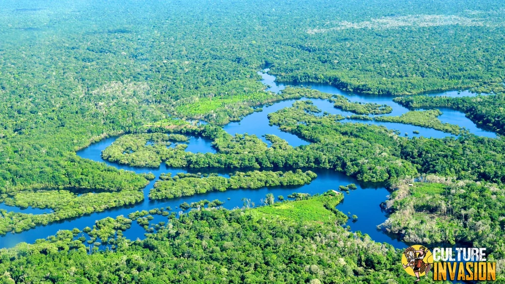 Amazon Rainforest Hidup Tanpa Teknologi