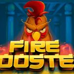 Fire Rooster Jam Gacor Harus Berhenti