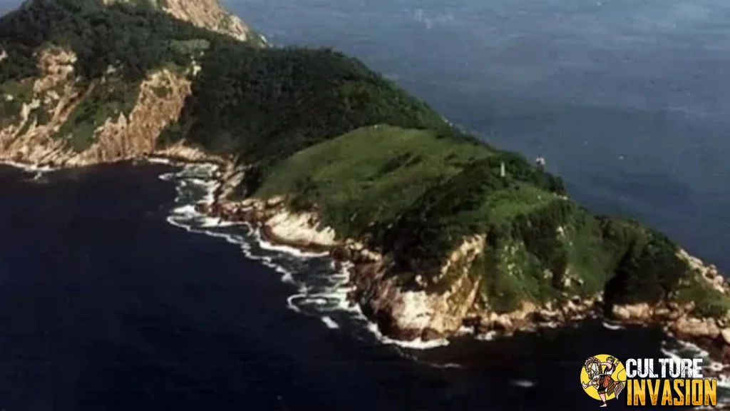 Snake Island, Brasil: Wisata Ekstrem Penuh Ular